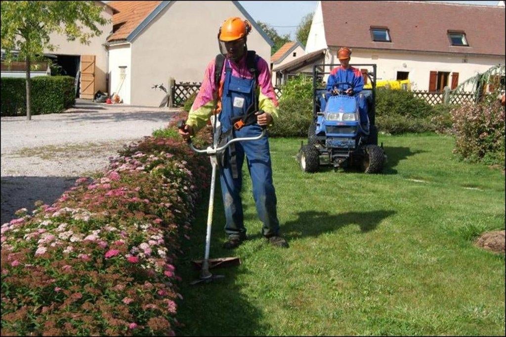 jardin entretien, plantation, taille, Services & Professionnels, Entretien de jardins ou Taille