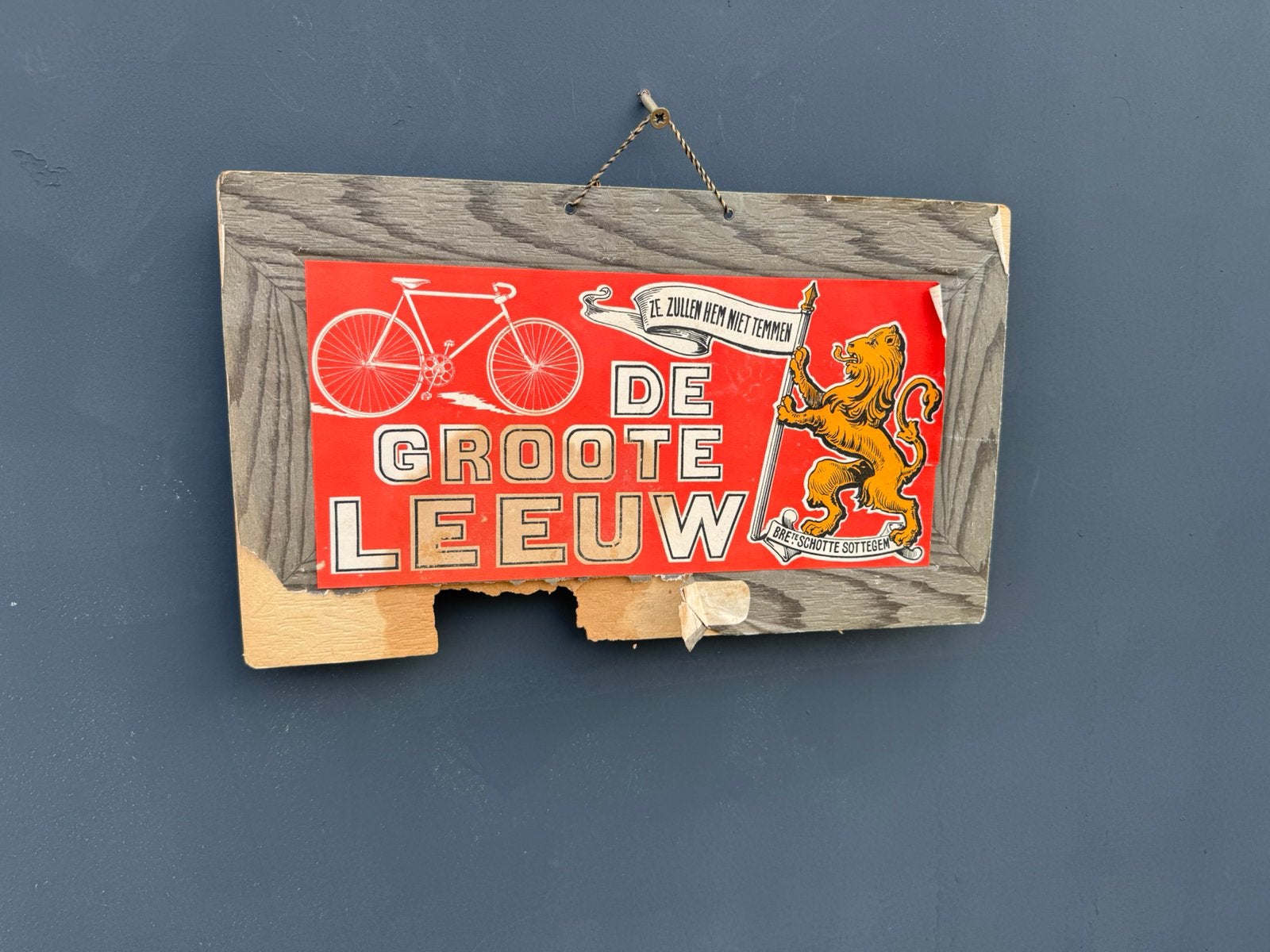 De Groote Leeuw fietsen reclamebord, Ophalen of Verzenden, Gebruikt, Reclamebord