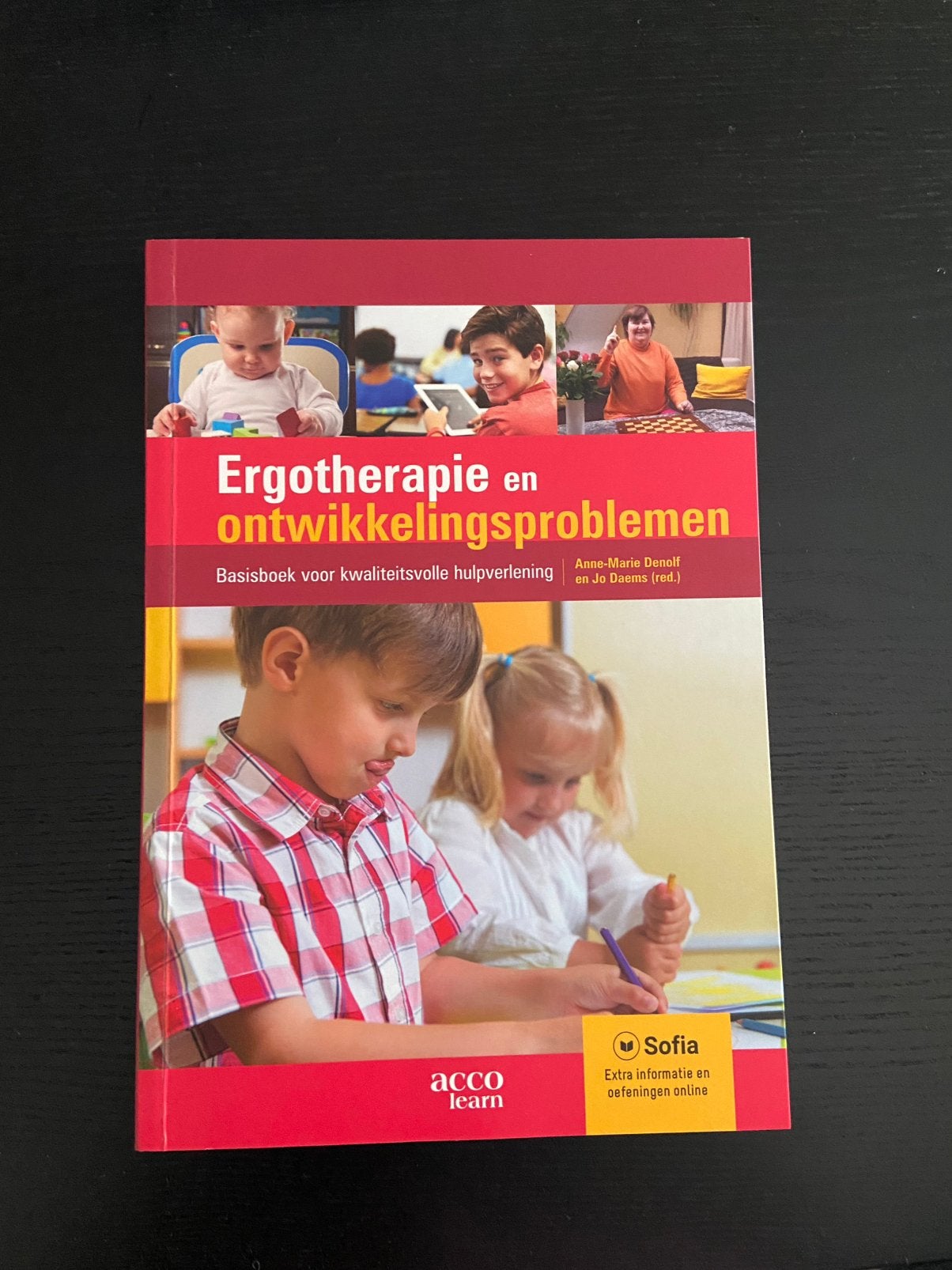 Jo Daems - Ergotherapie en ontwikkelingsproblemen, Enlèvement, Jo Daems; Anne-Marie Denolf