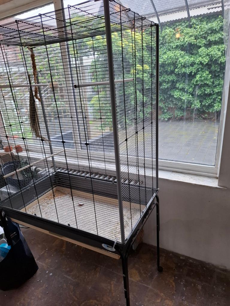 vogelkooi, Enlèvement, Cage à oiseaux
