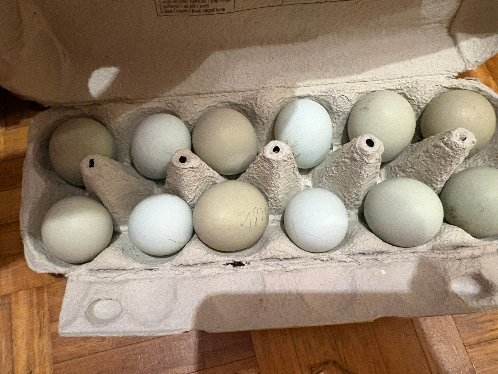 Blauwe/Groene broedeieren – Araucana kruising, Dieren en Toebehoren, Pluimvee | Toebehoren, Zo goed als nieuw, Broedmachine, Ophalen