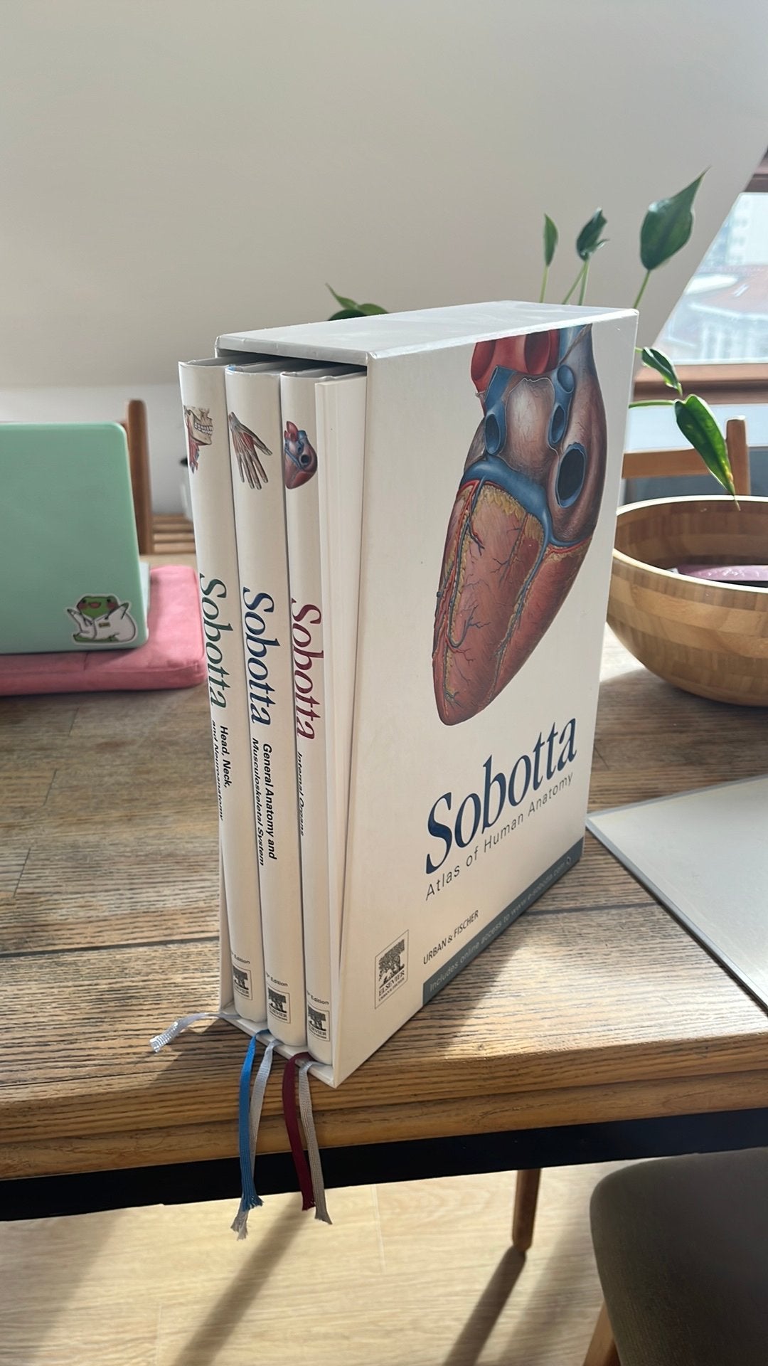 Sobotta anatomie atlas, Boeken, Ophalen, Nieuw