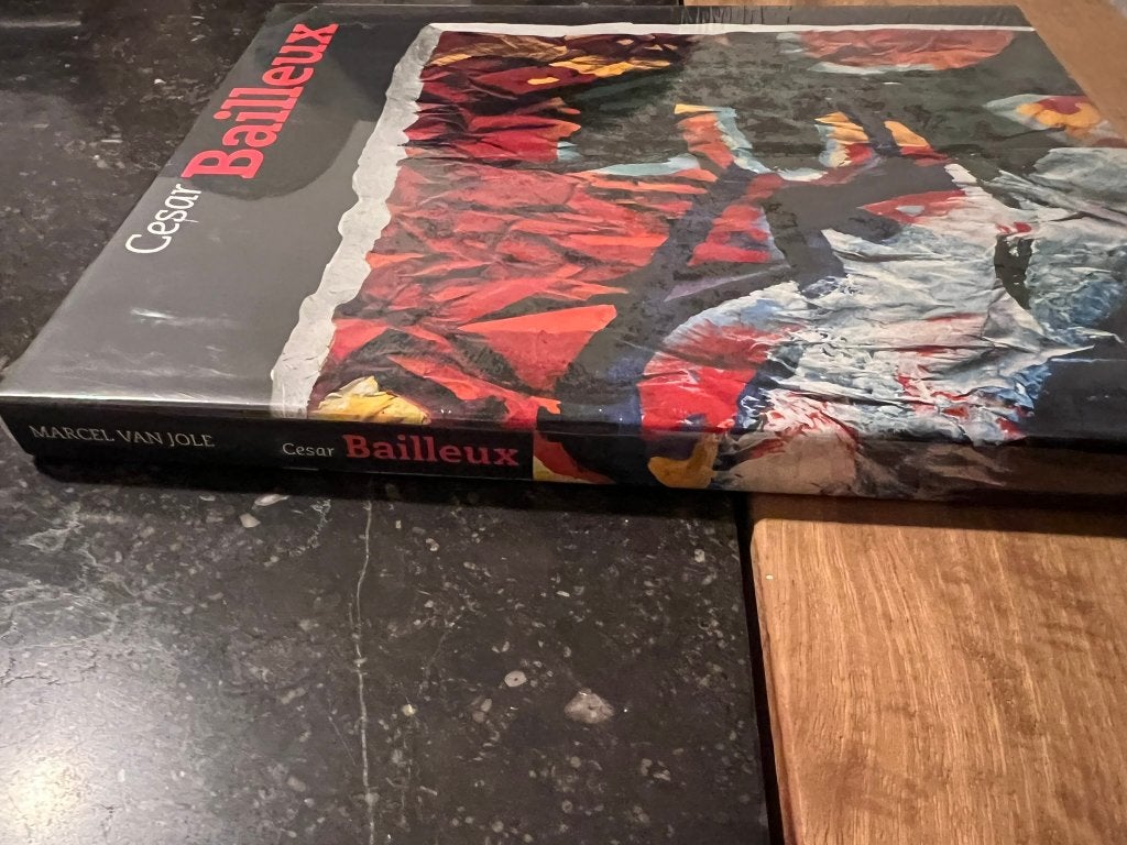 César Bailleux, Monographie de livres d'art Roularta 1996, Enlèvement ou Envoi, Neuf, Peinture et dessin