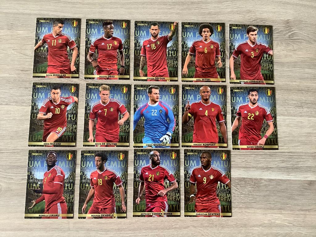 Panini cards ‘ Tousensemble ‘ Rode Duivels (2015), Verzamelen, Ophalen of Verzenden, Zo goed als nieuw, Poster, Plaatje of Sticker
