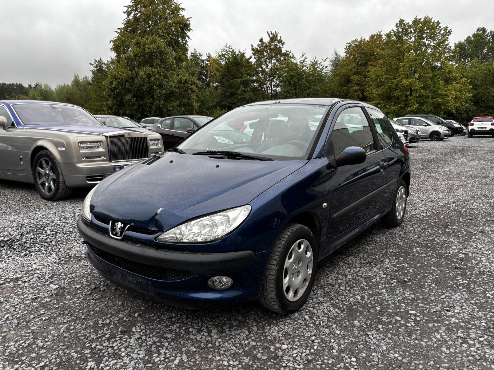 Peugeot 206, Autos, Achat, Entreprise, Vert