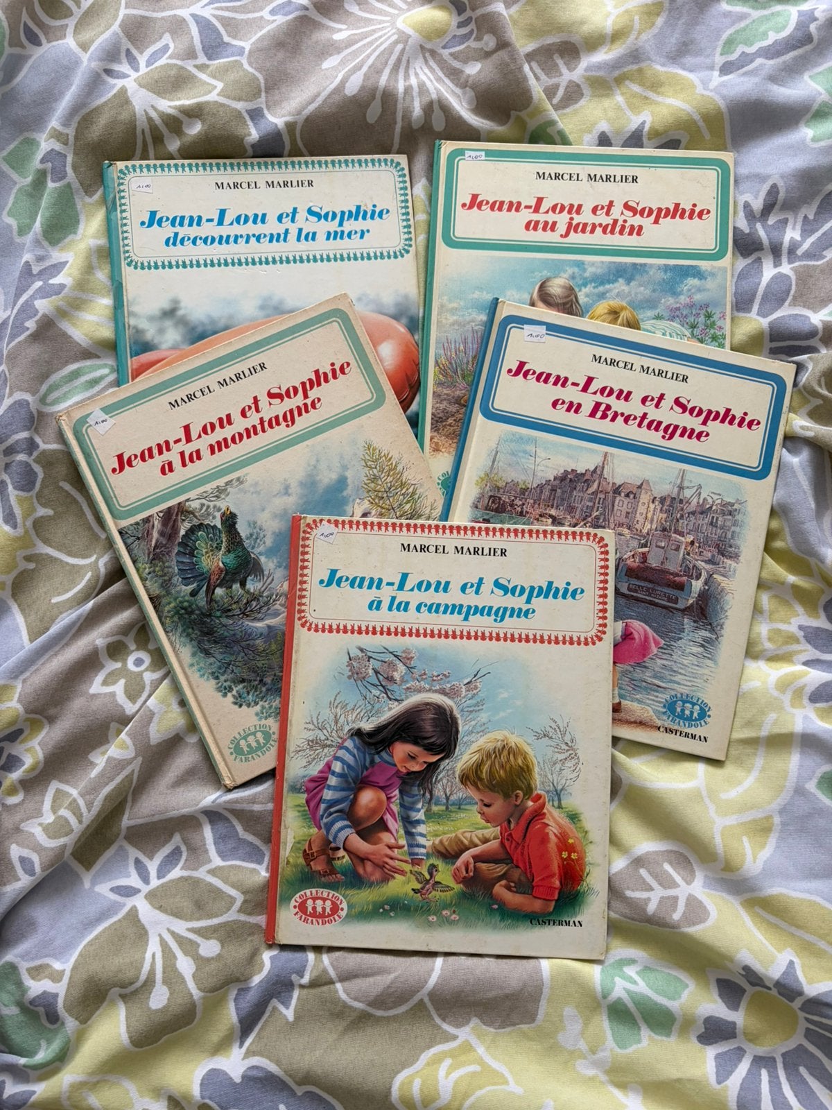 Livres Jean-Lou et Sophie, Livres, Enlèvement, Utilisé