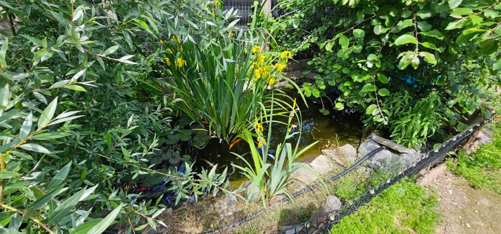 Vijver met toebehoren, Tuin en Terras, Vijvers, Ophalen