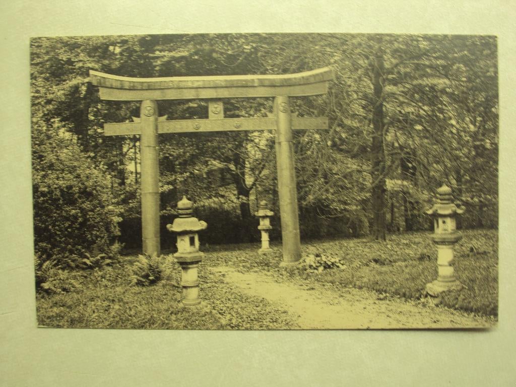 55591 - DOMAINE DE MARIEMONT - LE PARC - TORIL JAPONAIS, Verzenden