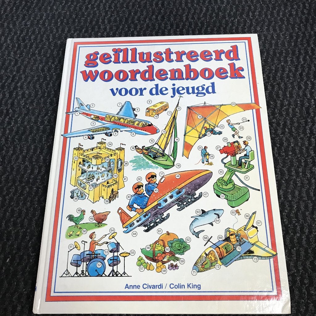 Dictionnaire illustré en néerlandais, Livres, Enlèvement, Néerlandais