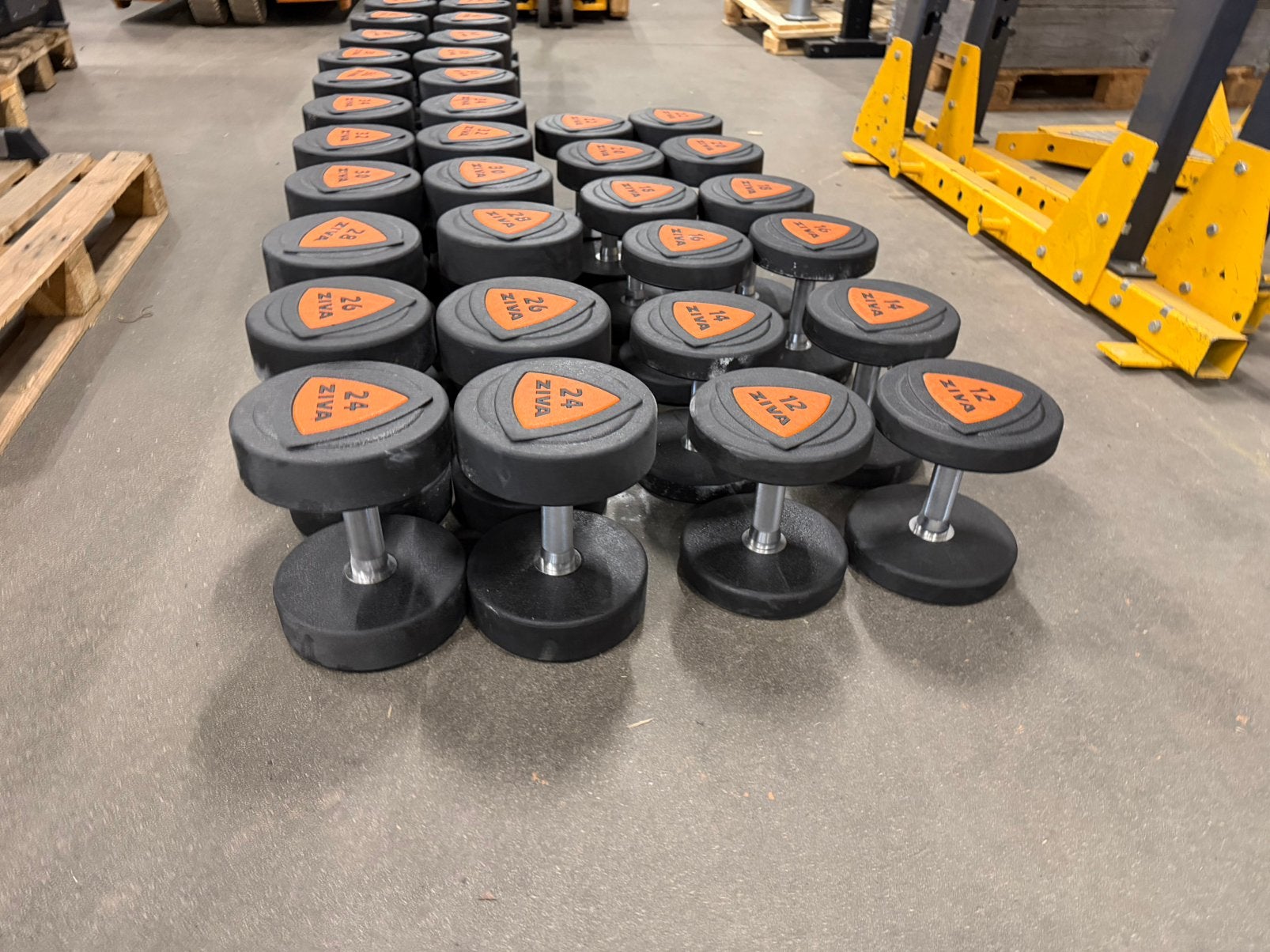 Rubberen Ziva Pu Dumbells 12kg t/m 50kg, Sports & Fitness, Enlèvement, Comme neuf, Haltère
