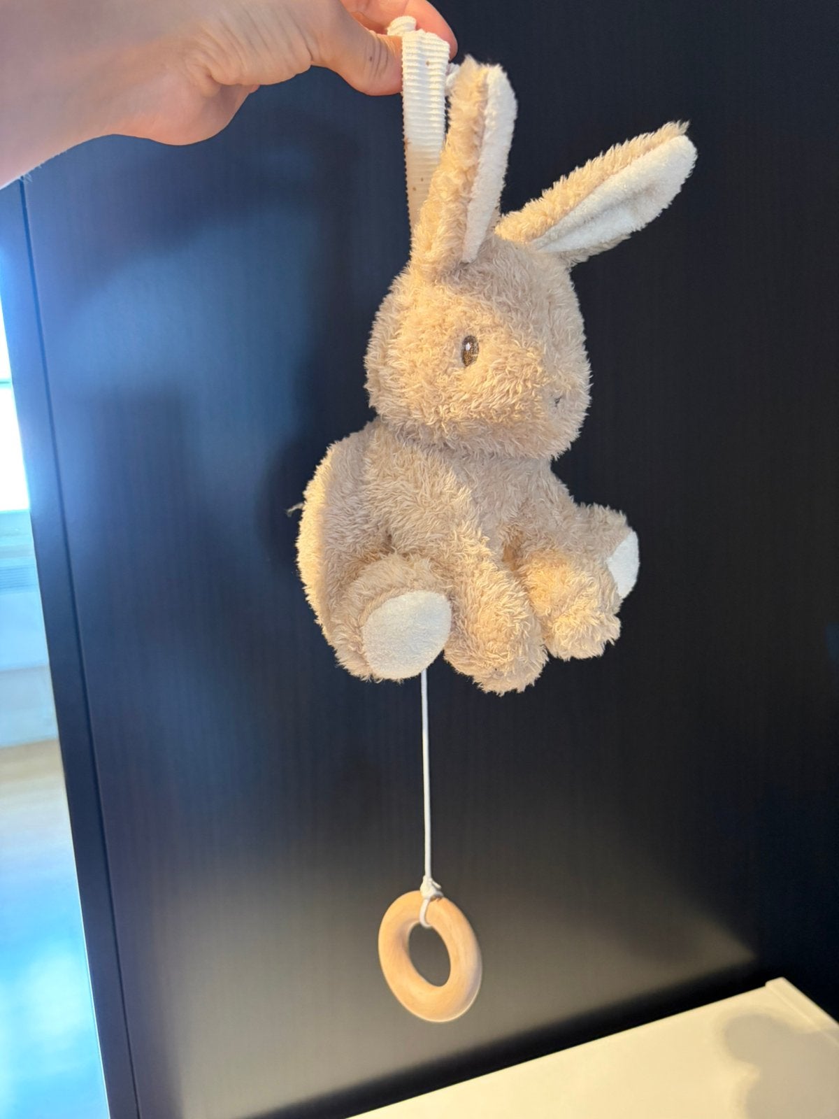 Little Dutch / Konijn trekmuziek, Enfants & Bébés, Jouets | Peluches, Enlèvement, Comme neuf, Lapin, Little Dutch