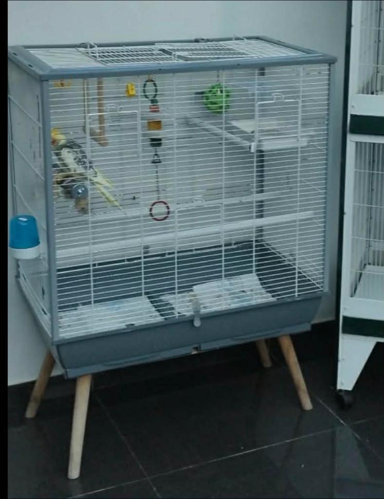 Cage oiseaux, Enlèvement, Comme neuf, Cage à oiseaux