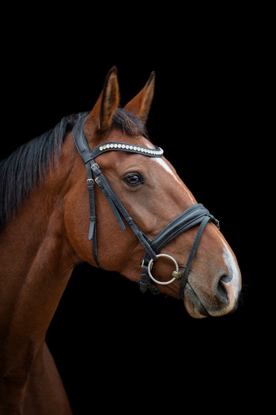 6 jarige merrie bamako x chin chin, Dieren en Toebehoren, Paarden, Merrie, Zadelmak, Dressuurpaard