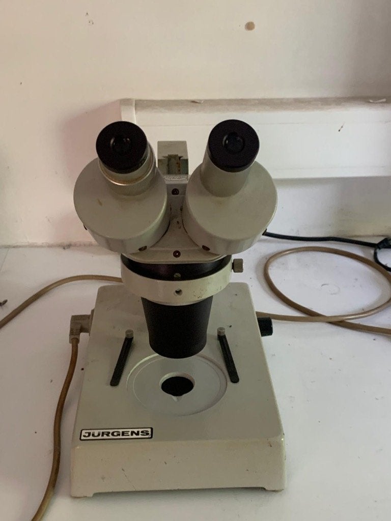 Professionele Stereomicroscoop Will Strübin Wetzlar, Audio, Tv en Foto, Optische apparatuur | Microscopen, Gebruikt, Stereomicroscoop