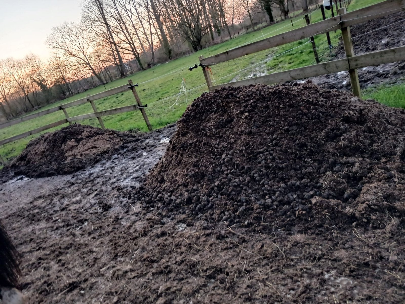 Gratis paardenmest, Jardin & Terrasse, Terre & Fumier, Enlèvement