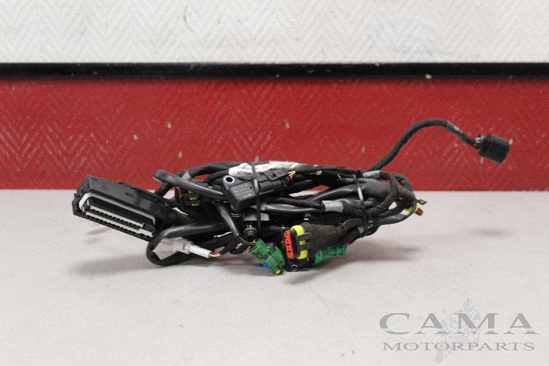 KABELBOOM MOTOR Shiver 900 2017-2018 (SL900) (2d000360), Dhr. S. di Majo, Gebruikt, Info@cama-motorparts.nl, P.J. Troelstraweg 8 8
3144 CX  MAASSLUIS, NL