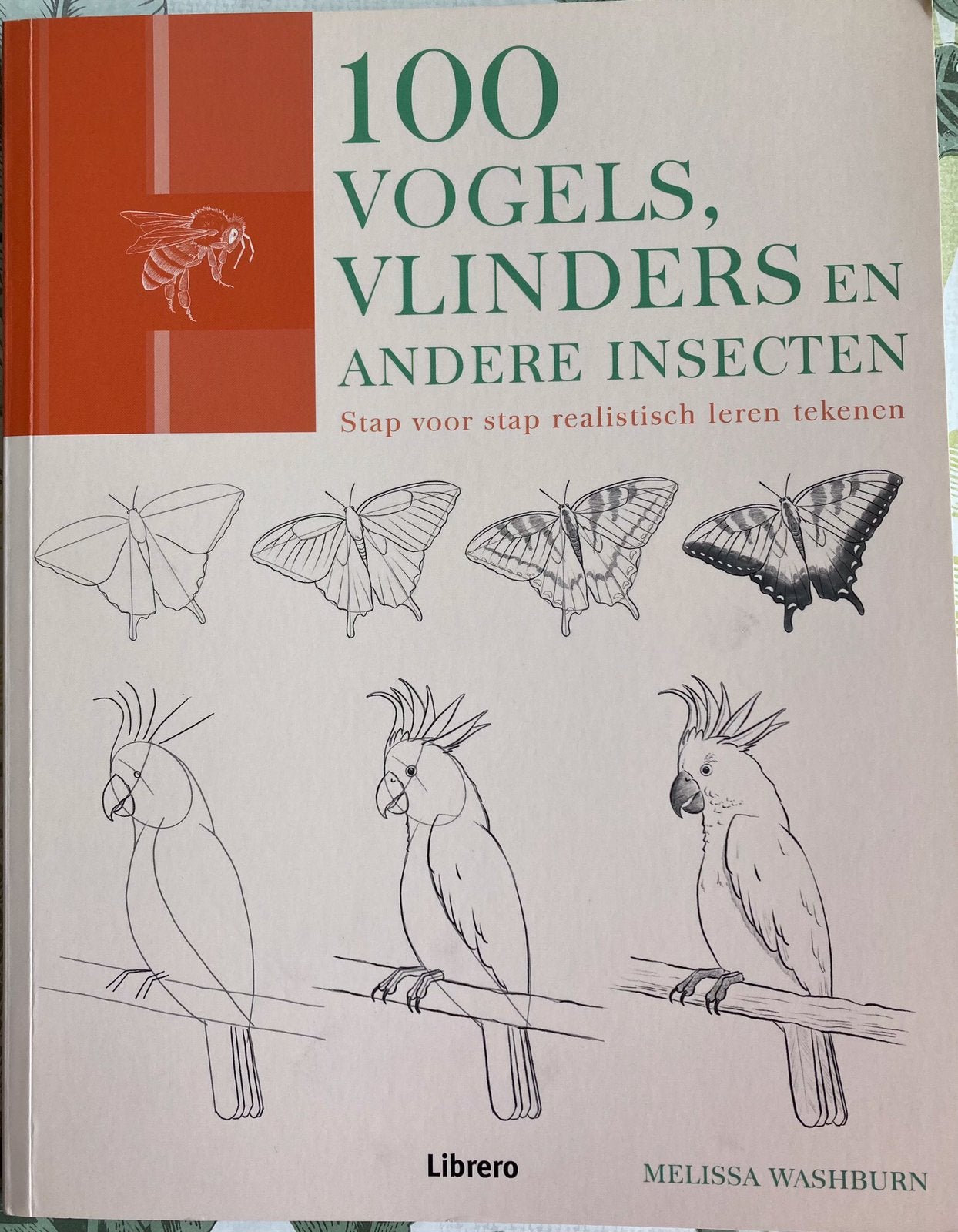 Melissa Washburn - 100 vogels, vlinders en andere insecten, Comme neuf, Dessin et Peinture, Melissa Washburn, Enlèvement ou Envoi