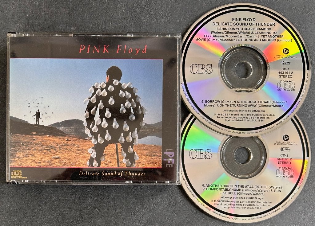 PINK FLOYD - Delicate sound of thunder ( 2CD ), CD & DVD, CD | Rock, Envoi, Comme neuf, Progressif