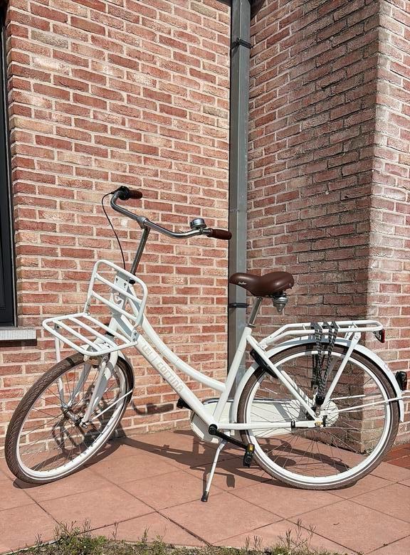 Cortina U4 Transport fiets M26, Fietsen en Brommers, Fietsen | Kinderfietsjes, Gebruikt, 20 inch of meer, Ophalen