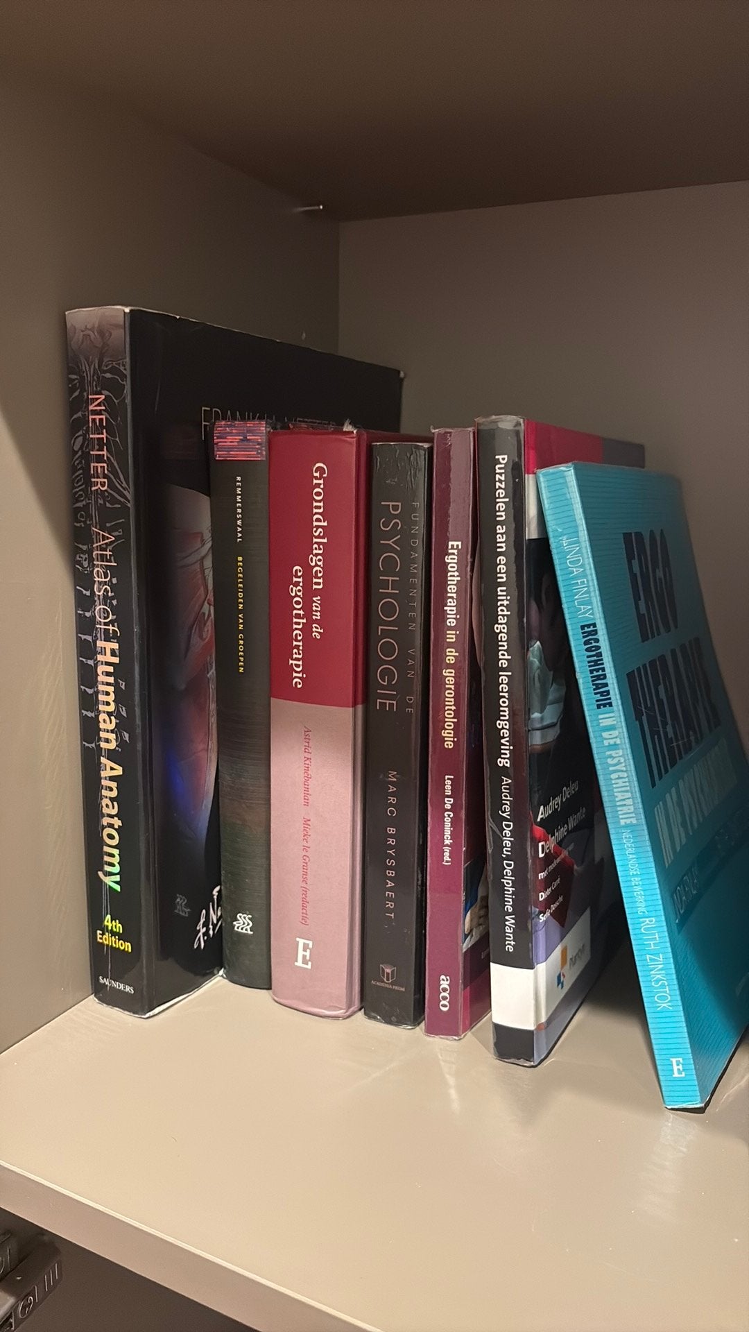 Ergotherapie - studentenboeken, Boeken, Ophalen of Verzenden, Gelezen, School, Studie en Wetenschap