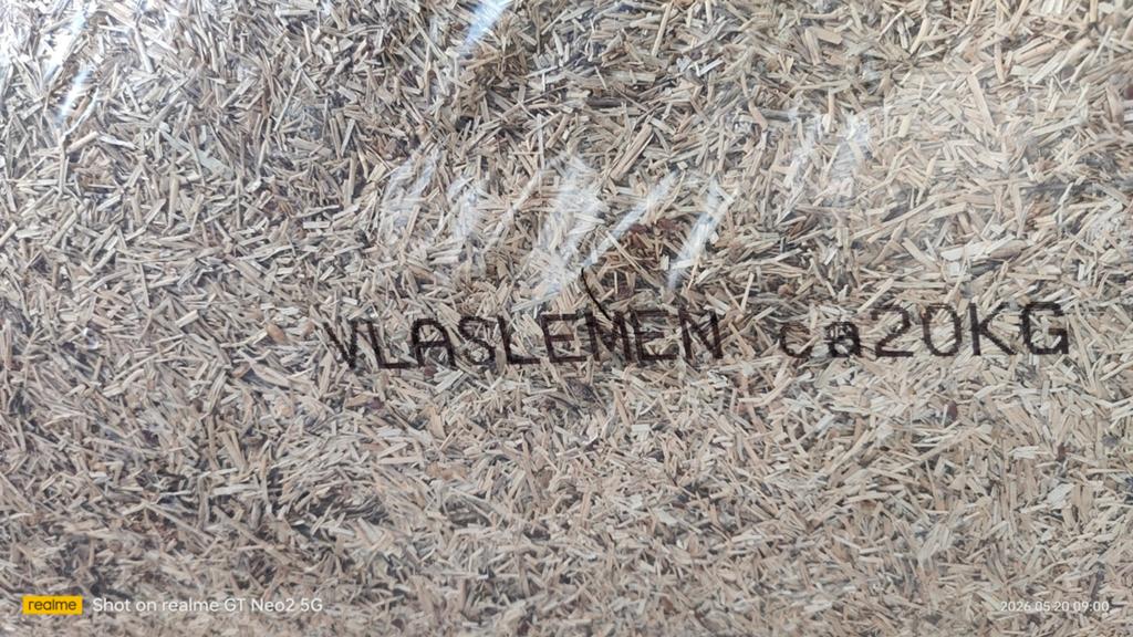 Vlaslemen