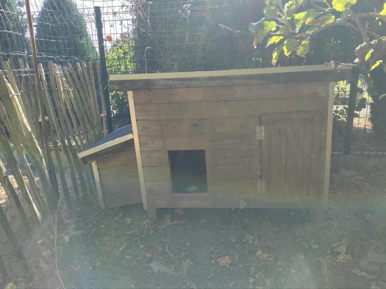 Houten kippenhok met legbakje, Dieren en Toebehoren, Insecten en Spinnen