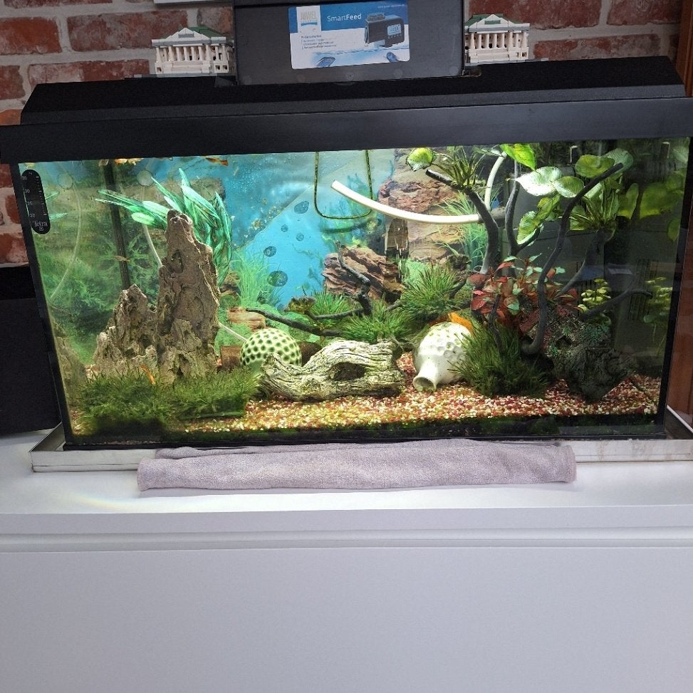 Aquariums, Dieren en Toebehoren, Ophalen, Gebruikt, Gevuld zoetwateraquarium, Pomp