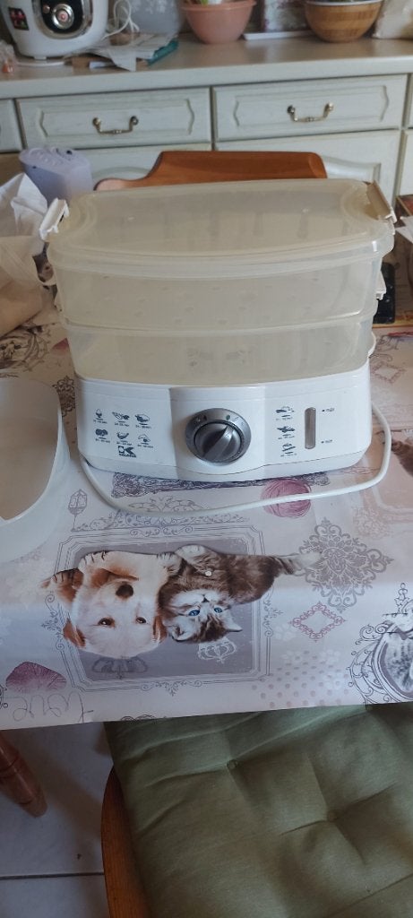 Cuit vapeur electrique, Ophalen, Gebruikt
