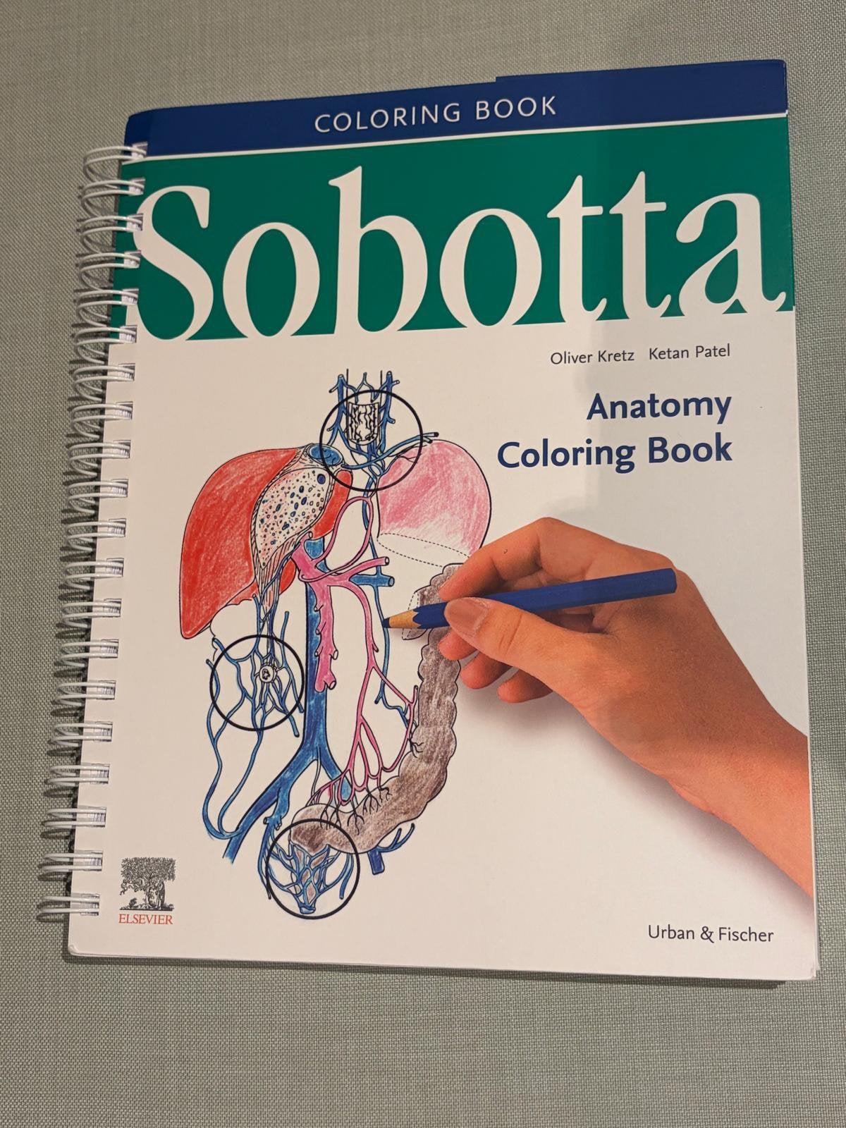 Sobotta Anatomy Coloring Book, Ophalen of Verzenden, Nieuw, Overige niveaus, Elsevier