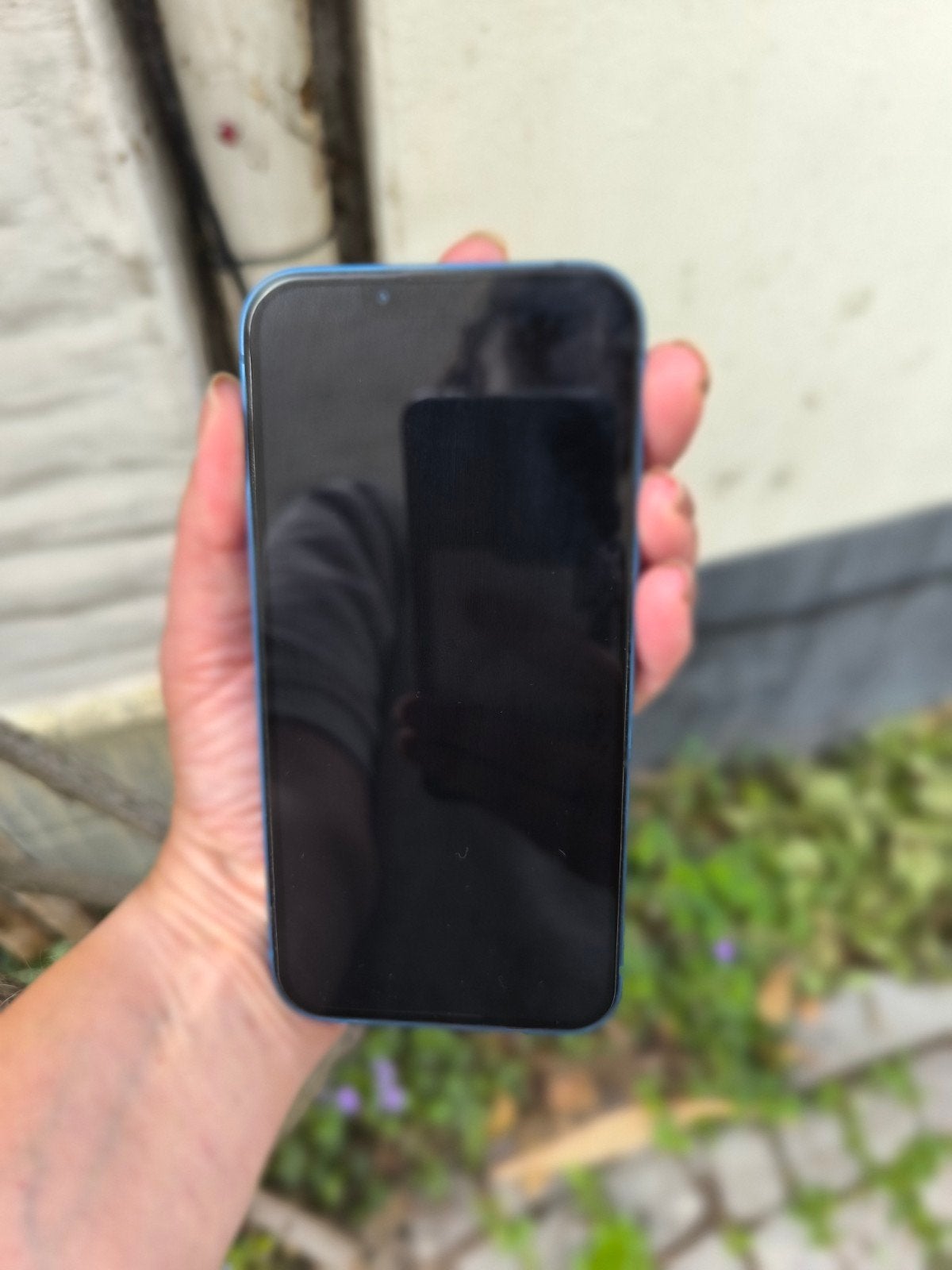 iPhone 13, Télécoms, Enlèvement, IPhone 13, Bleu