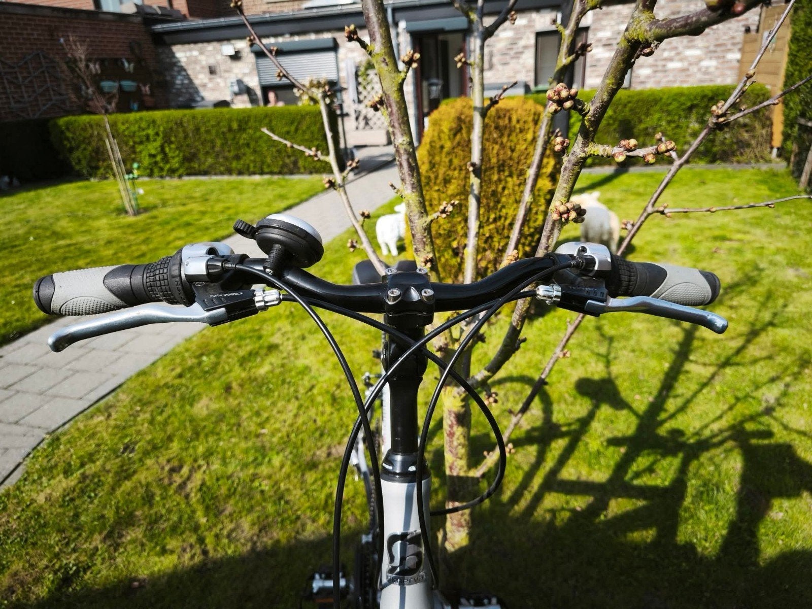 sportieve damesfiets, Fietsen en Brommers, Fietsen | Ligfietsen, Ophalen