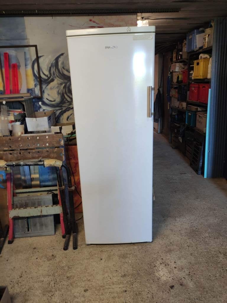 VENDU      Grand congélateur armoire, Congélateur, 160 cm ou plus, Comme neuf, Enlèvement