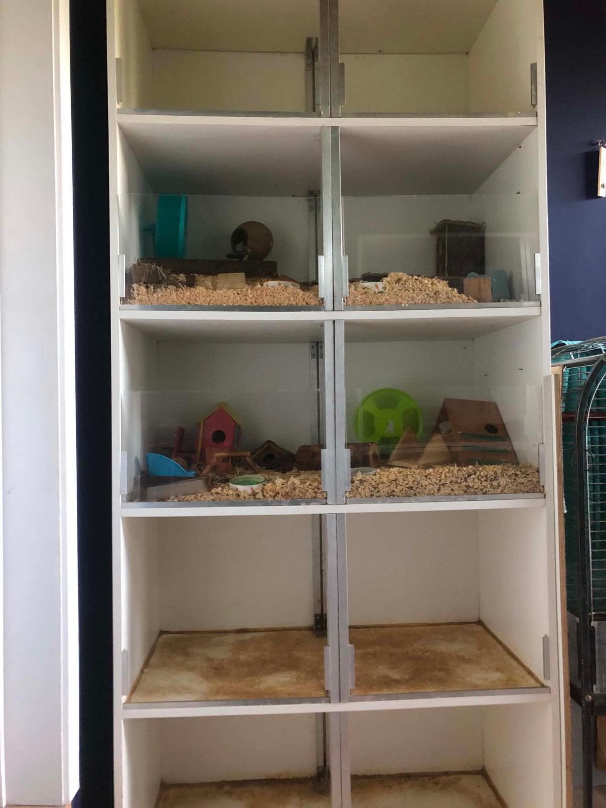 Cavia flat / hok 5 aparte verdiepingen, Ophalen, Zo goed als nieuw, Hok, Cavia