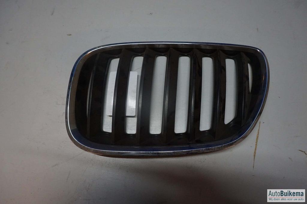 Bumper grille (Nier) origineel Bmw X5 E53, Auto-onderdelen, Gebruikt, -, -, Ophalen of Verzenden