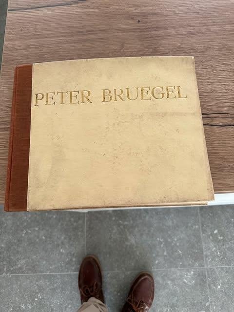 Peter Breugel W. Vanbeselaere Lannoo Tielt, Enlèvement ou Envoi, Comme neuf, Peinture et dessin, W. Van Beselaere