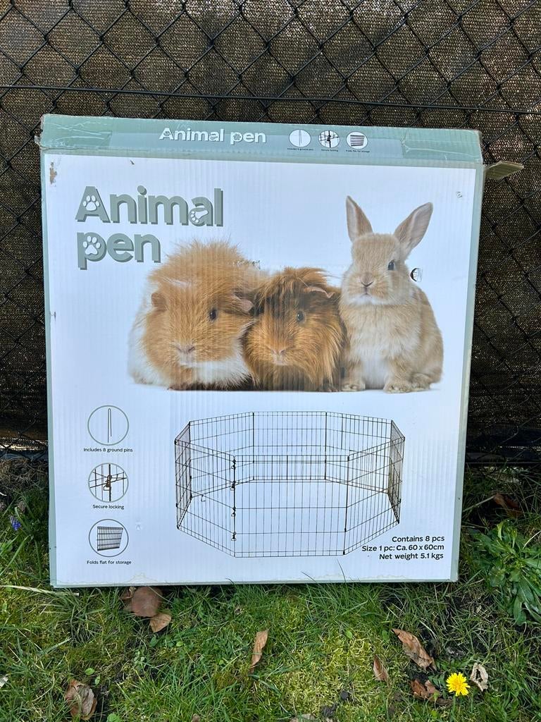 Konijnenren, Dieren en Toebehoren, Konijnen, Meerdere dieren, Middelgroot