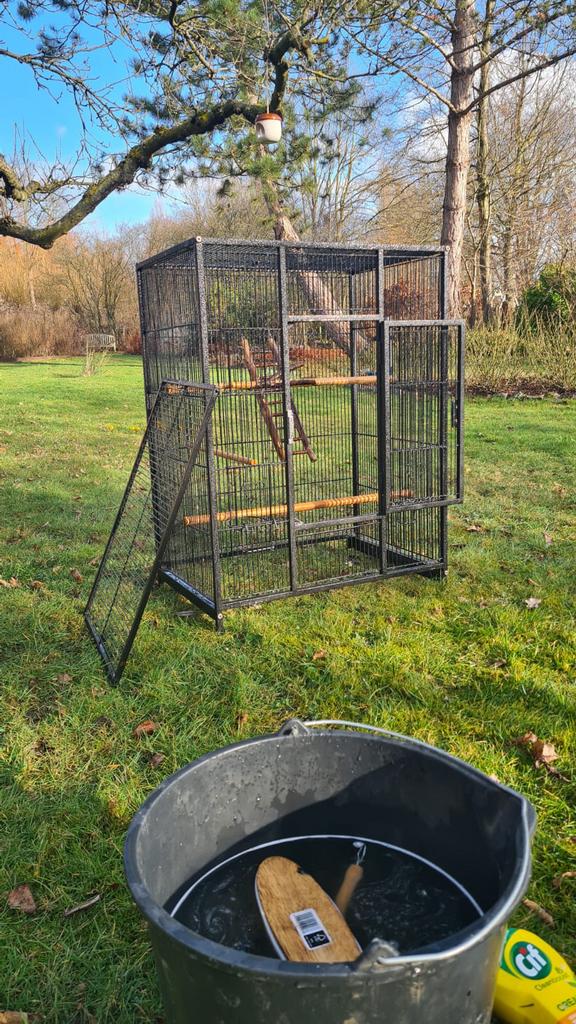 Vogelkooi, volière (parkieten valkparkieten papegaai, Dieren en Toebehoren, Vogels | Hokken en Kooien, Ophalen, Vogelkooi