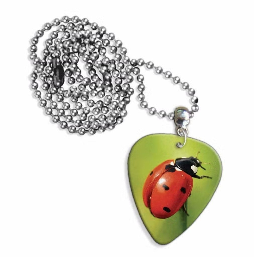 Plectrum ketting of sleutelhanger van een Lieveheersbeestje, Ophalen of Verzenden, Nieuw