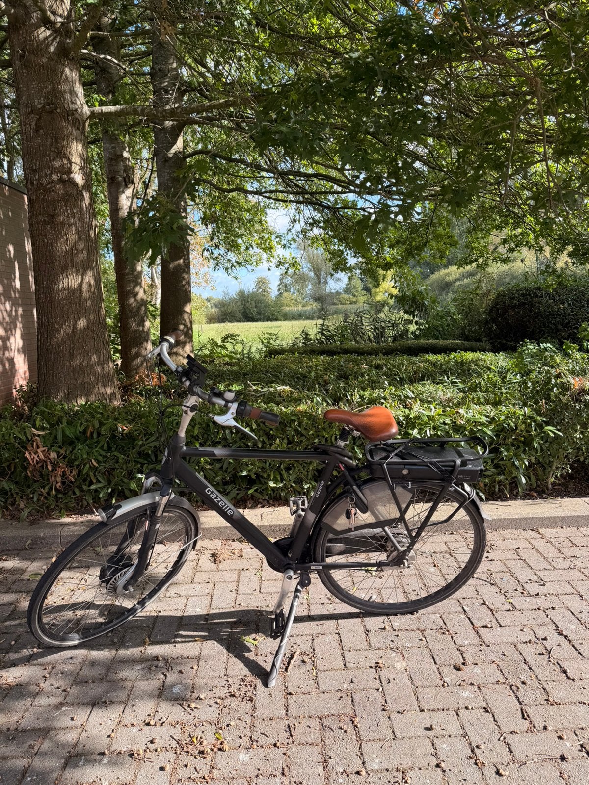 Vélo Gazelle Orange C7 (moteur de roue avant Panasonic), Enlèvement, Utilisé, Gazelle, Vitesses