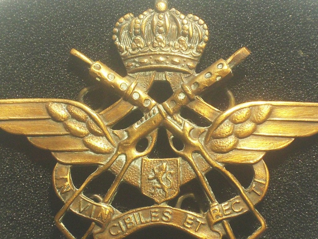 Insigne commandos de l'air UDA peloton protection aérodrome, Verzamelen, Militaria | Algemeen, Verzenden, Luchtmacht, Embleem of Badge