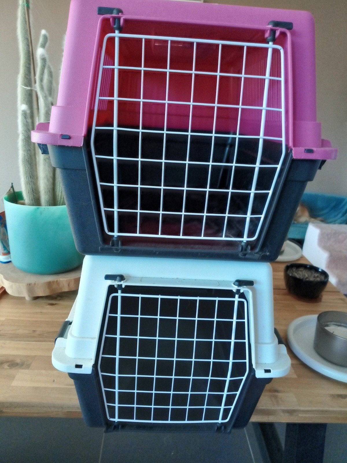 2 NIEUWE transport boxen voor kleine hond of poes, Dieren en Toebehoren, Ophalen