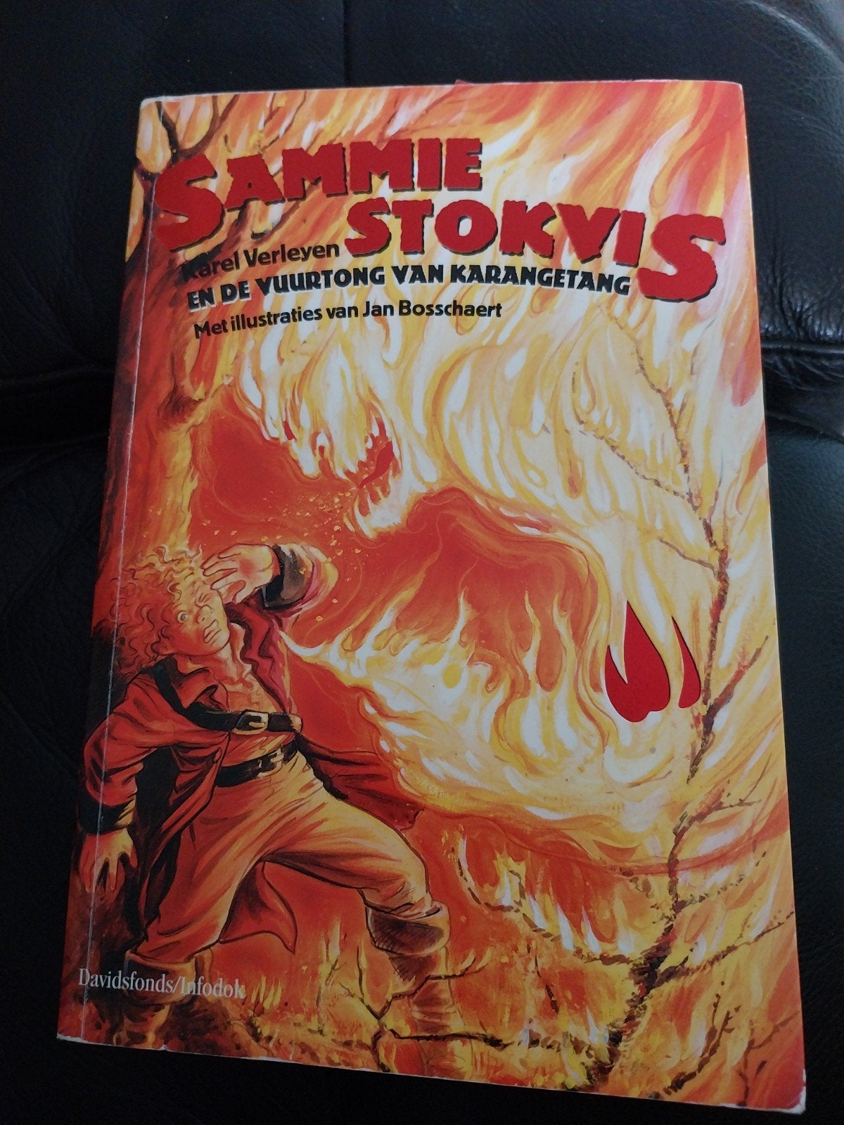 Sammie Stokvis en de vuurtong van Karangetang, Ophalen of Verzenden