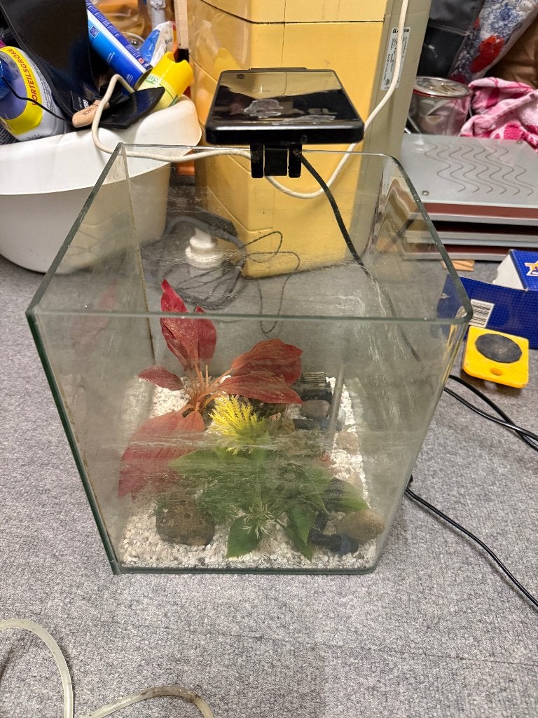 Nanobakje, Dieren en Toebehoren, Ophalen, Pomp, Gebruikt, Leeg aquarium