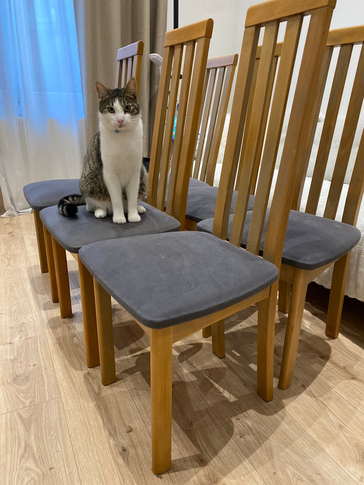6 houten stoelen in goede staat, Ophalen, Zo goed als nieuw