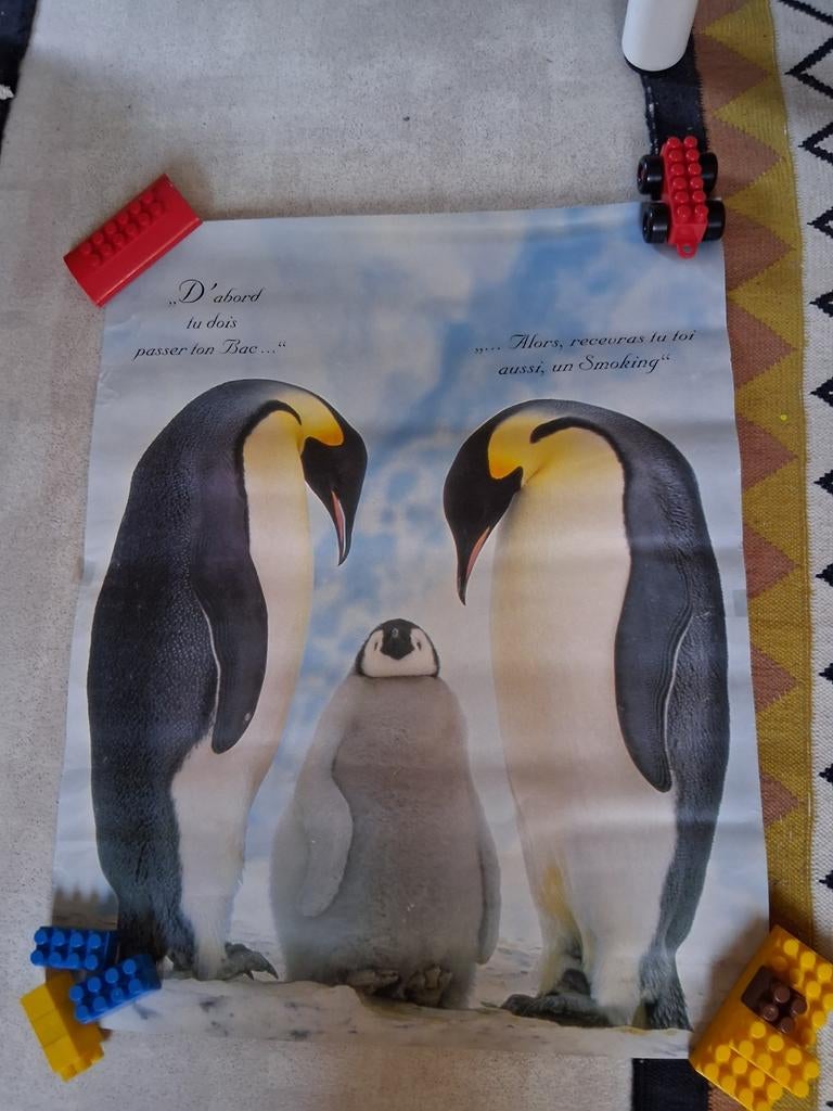 Poster Pinguins gebruikt, Verzamelen, Ophalen of Verzenden