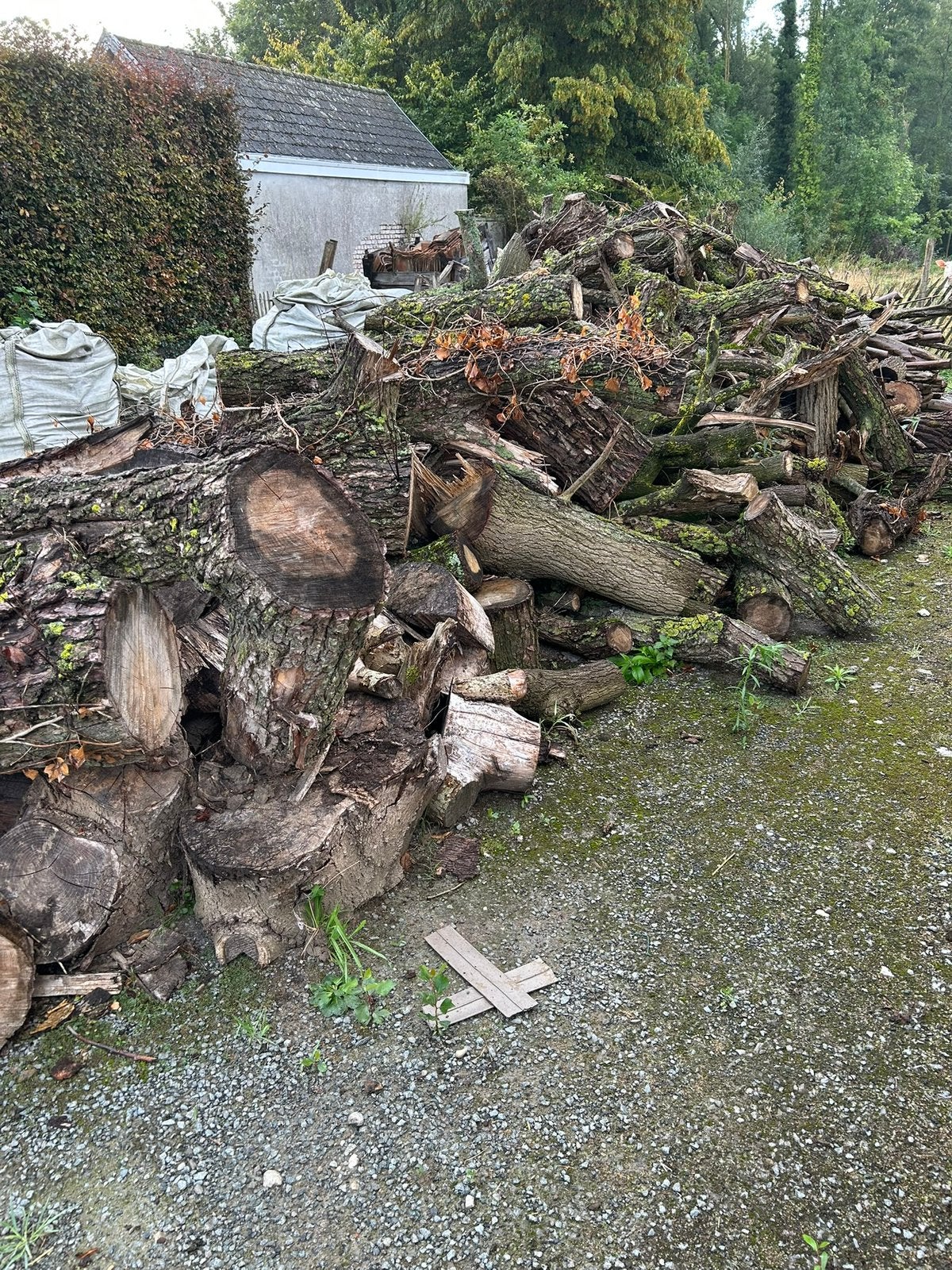 Boomstammen voor brandhout, Enlèvement