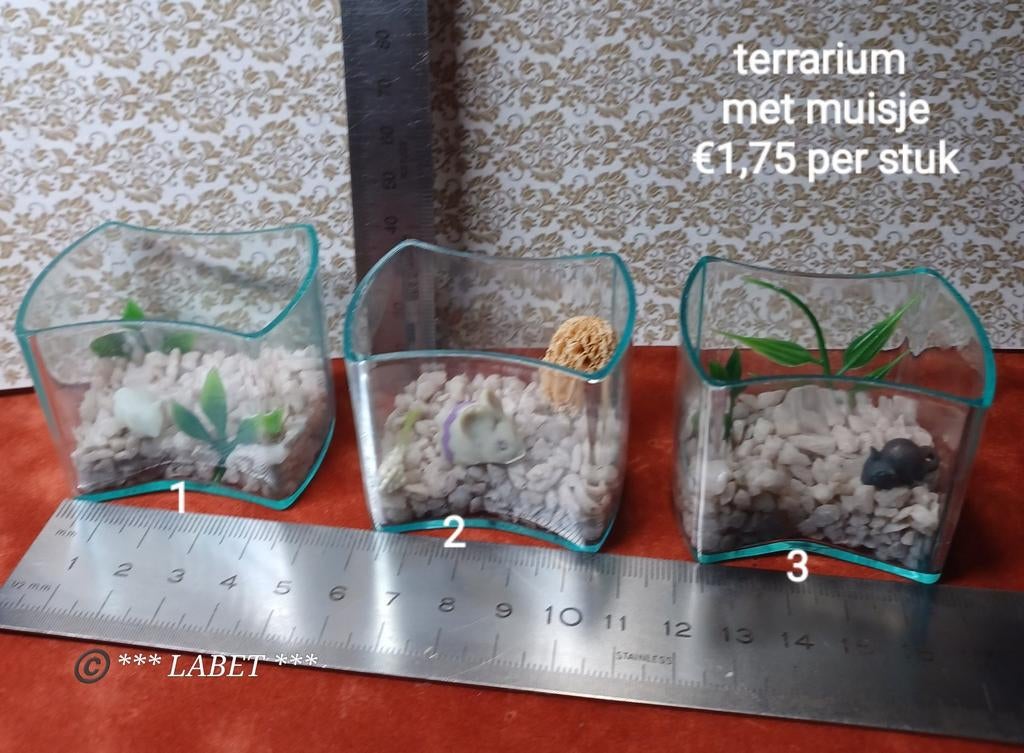 Poppenhuis terrarium, Verzamelen, Ophalen of Verzenden, Poppenhuis