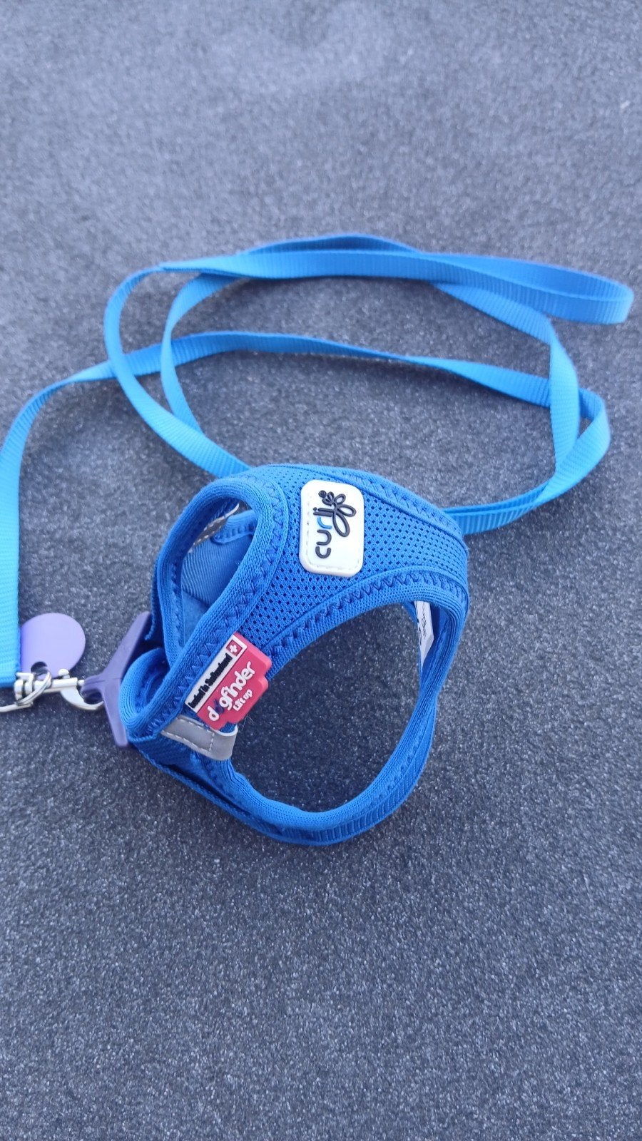 harnais plus sac de transport pour petit chien, Enlèvement