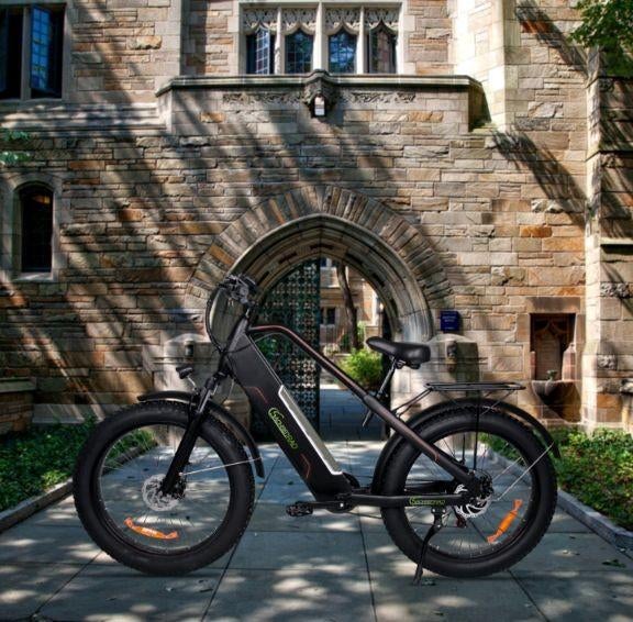 Fatbike E. Sachsenrad R12., Fietsen en Brommers, Elektrische fietsen, Ophalen, Nieuw