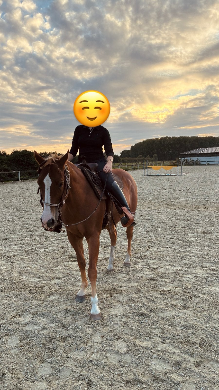 Privé westernles te Berlaar
